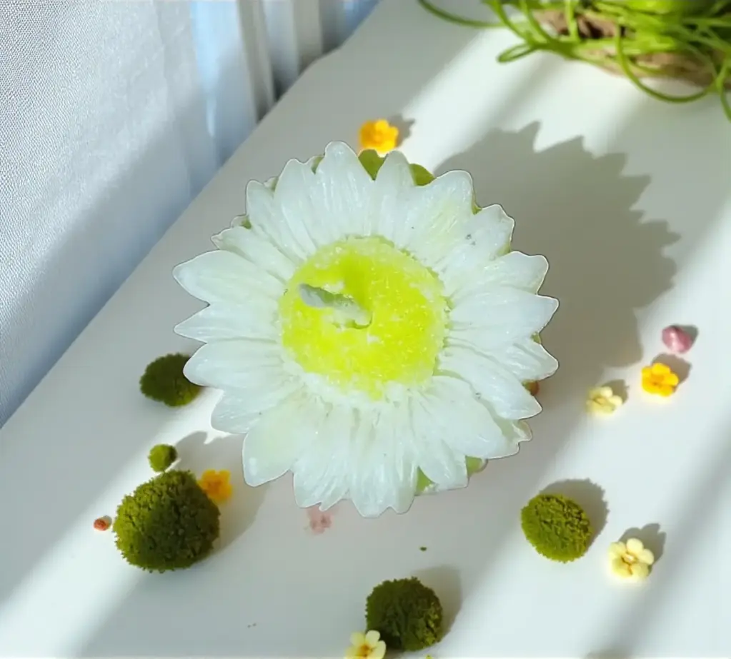 Daisy White Fragrance Candle