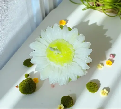 Daisy White Fragrance Candle